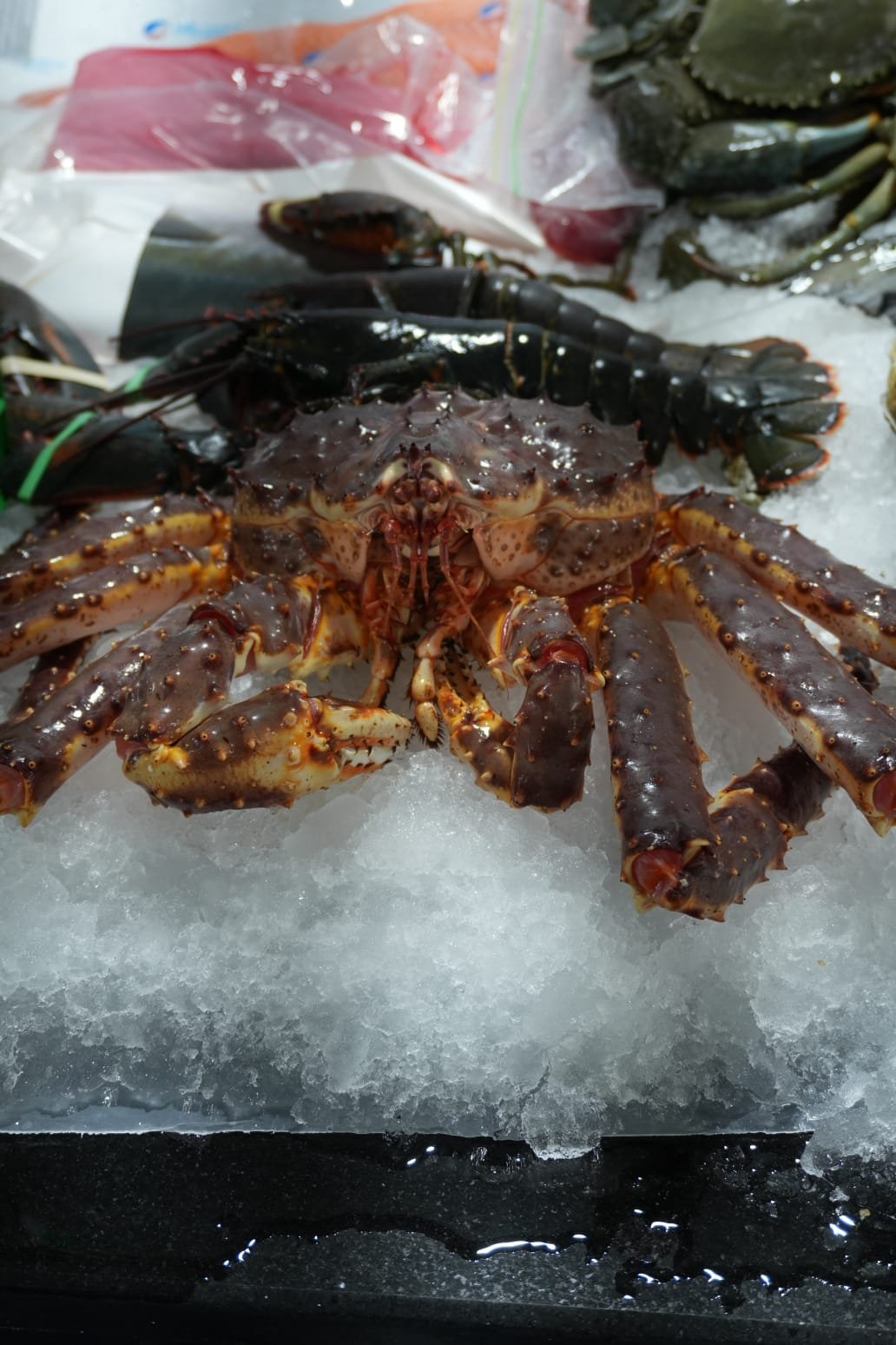 Sea food with Salad Plate